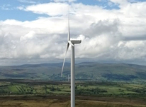 북아일랜드 그림