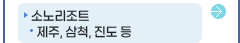 소노리조트-제주,삼척,진도 등
