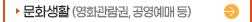 문화생활(영화관람권, 공영예매 등)